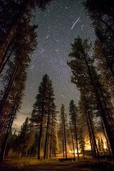 Meteor shower streaks across a clear, dark night sky - seamless design texture
