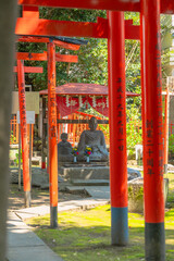 仏像と神社　日本の風景