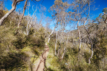Warrandyte State Reserve in Melbourne Australia