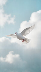 Obraz premium White dove flying in soft cloudy sky