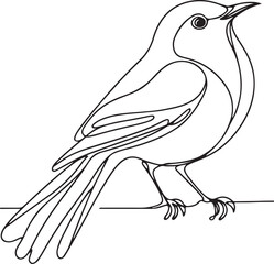 Detailed Nightingale Bird Vector Line Drawing