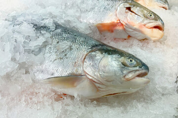 Fresh fish for sale on ice in a supermarket.
