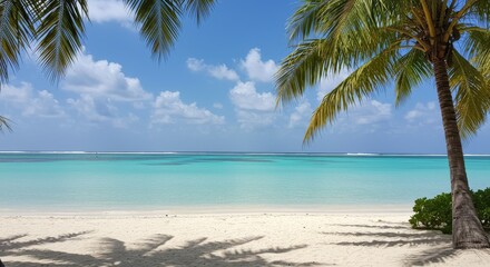 Fototapeta premium Sunny Tropical Beach Scene