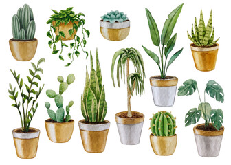 Set of indoor plants, watercolor painting. White background. For your design