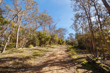 Warrandyte State Reserve in Melbourne Australia