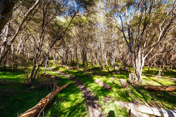 Warrandyte State Reserve in Melbourne Australia