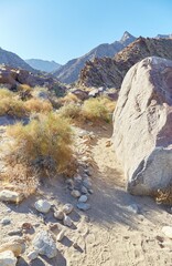 The Palm Canyon Trail at Anza-Borrego Desert State Park