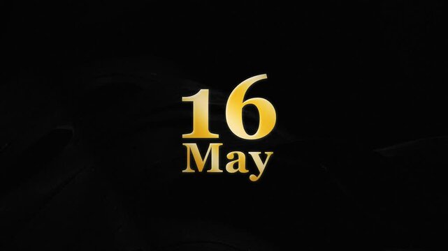 May 16, 16th May, 16 May Logo Animation 