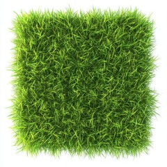 Lush green grass square