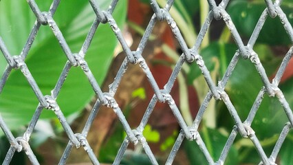 A close-up of a chain-link fence with green foliage in the background, creating a contrast between...