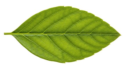 Obraz premium Emerald Vein AI Generated