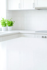 Bright, white kitchen with green plants, clean countertops, and pristine cabinets. Home interior