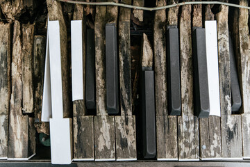 Artistic exploration of weathered piano keys abandoned location photography rustic environment close-up view nature meets music