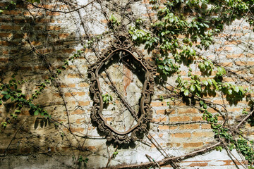 Abandoned vintage mirror surrounded by ivy urban environment photography outdoor artistic perspective