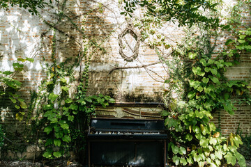 Nature-inspired serenity abandoned piano surrounded by lush foliage in a tranquil garden setting