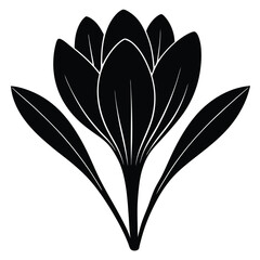 calendula, canna lily flower, Buttercup, Baby’s Breath (Gypsophila), carnation, celosia, chrysanthemum, clematis, coreopsis, cornflower, crocus, daffodil, dahlia, daisy, delphinium, flower logo