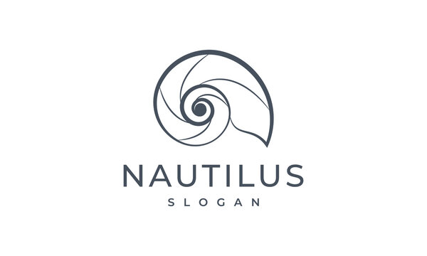 nautilus logo vector illustration, seashell logo template
