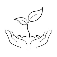 Obraz premium Hands holding young plant in black and white line art