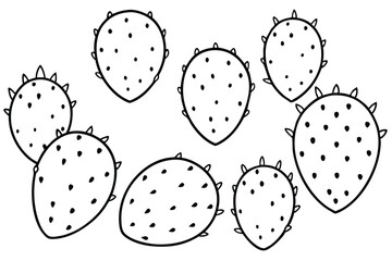  Prickly Pear Line Art Representation of Vibrant Southwestern Flora