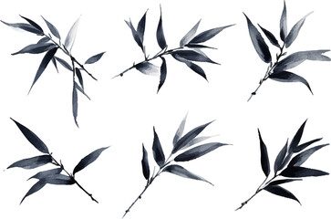 Obraz premium bamboo and leaves