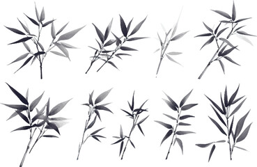 bamboo vector illustration