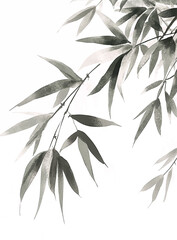 Obraz premium bamboo leaves isolated on white background