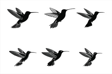 Obraz premium Hummingbirds set