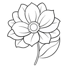 Fototapeta premium Anemone Flower Coloring Book Page – Line Art Outline Drawing for Floral Botanical Illustration