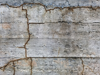 Termite nest festing the building wall. Termite tracks on concrete wall of house. Abstract background from Termite on wall. The line of termite nest on cement wall. Close up to termites shelter tubes.