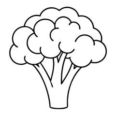 Broccoli Coloring Book Page – Line Art Outline Drawing for Vegetable Botanical Illustration