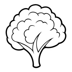 Cauliflower Coloring Book Page – Line Art Outline Drawing for Vegetable Botanical Illustration