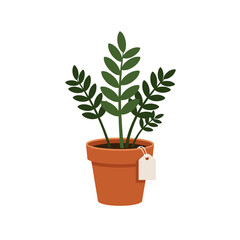 Obraz premium Potted plant with green leaves on a white background 