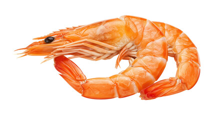 Isolated Cooked Shrimps