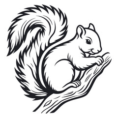 Squirrel on Branch Outline Style, Cute Detailed Animal with Transparent Background