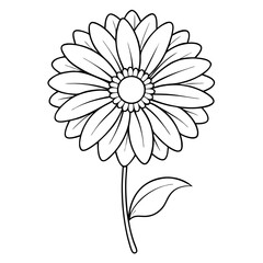 Gerbera Daisy Flower Coloring Book Page – Line Art Outline Drawing for Floral Botanical Illustration
