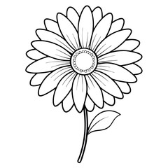 Fototapeta premium Gerbera Daisy Flower Coloring Book Page – Line Art Outline Drawing for Floral Botanical Illustration