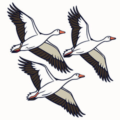Obraz premium A vector illustration of a V-shape flying flock of migratory geese, showcasing their graceful flight formation in nature.