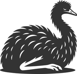 Emu bird vector silhouette