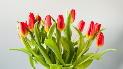 bouquet of red tulips in a vase on a gray background