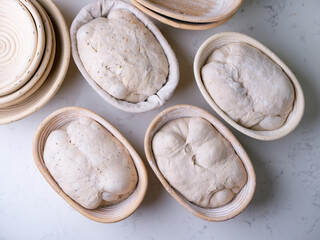 Sourdough Bread in Proofing basket, bannetons baskets for retarding raw dough before baking.