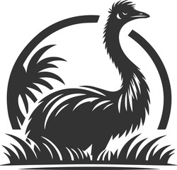 Emu bird vector silhouette