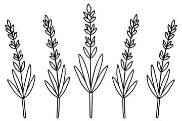 Purple Line Art Composition Highlighting Energy and Movement in Design