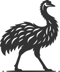 Emu bird vector silhouette