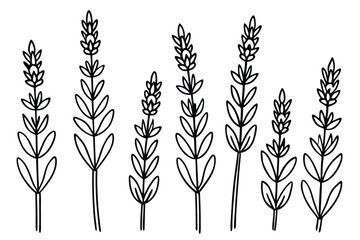  Purple Line Art Illustration Featuring Bold Creative Abstract Shapes