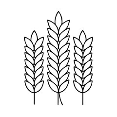 wheat icon, wheat vector illustration-simple illustration of wheat, perfect for wheat logos and icons