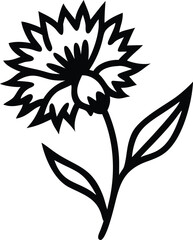 calendula, canna lily flower, Buttercup, Baby’s Breath (Gypsophila), carnation, celosia, chrysanthemum, clematis, coreopsis, cornflower, crocus, daffodil, dahlia, daisy, delphinium, flower logo