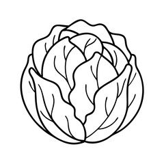 cabbage icon, cabbage vector illustration-simple illustration of cabbage, perfect for cabbage logos and icons