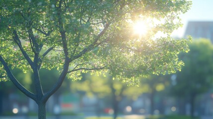 Sunny Spring Tree in Urban Park