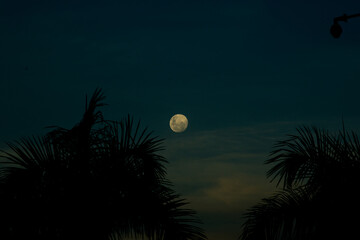 halloween night background