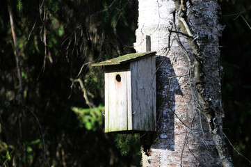 An old birdhouse on a wooden trunk